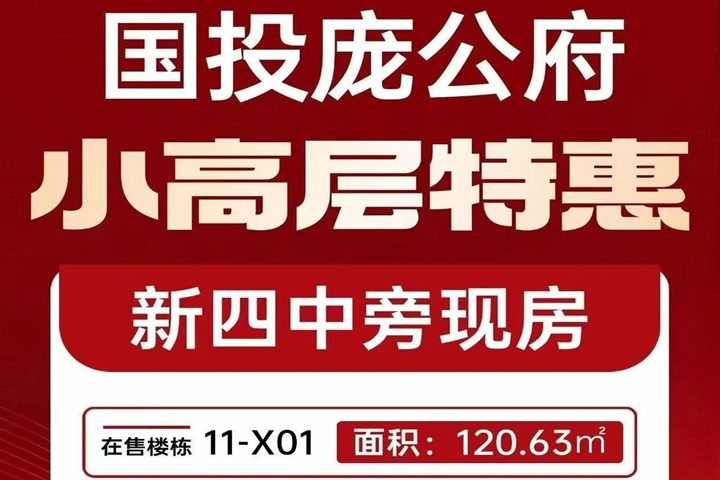 国投庞公府    小高层特惠    一口价9000元/㎡